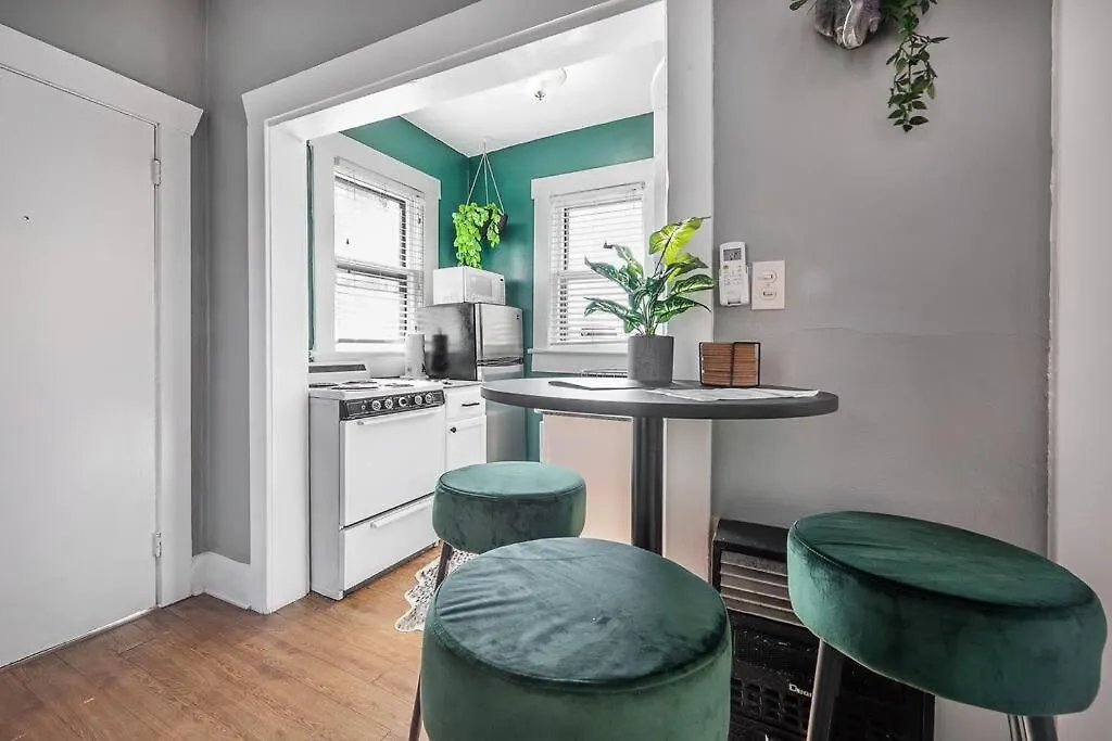 Jungle Themed Apt. Close To Coffee, Food + Shops! Tampa