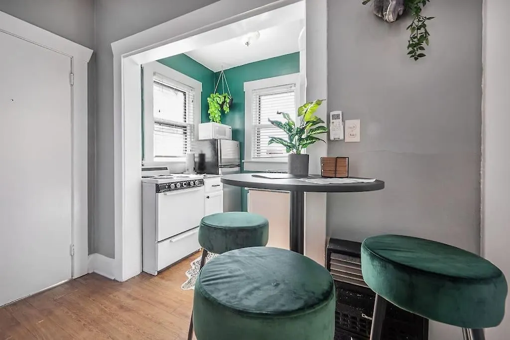 Apartment Jungle Themed Apt. Close To Coffee, Food + Shops! Tampa