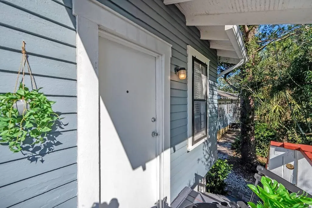 Jungle Themed Apt. Close To Coffee, Food + Shops! Tampa 0*,  United States