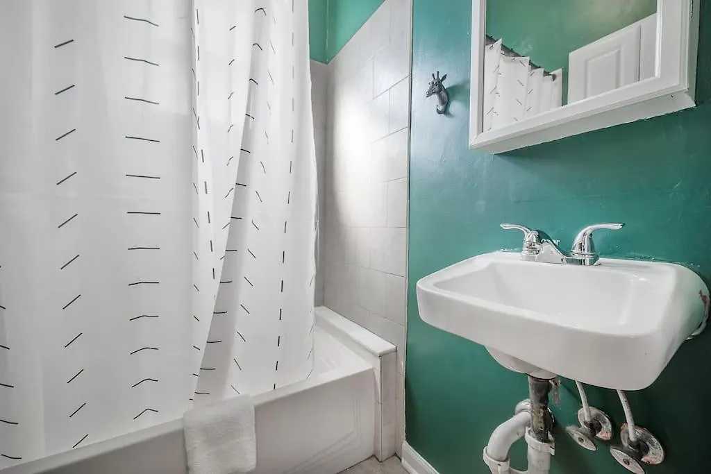 Jungle Themed Apt. Close To Coffee, Food + Shops! Tampa