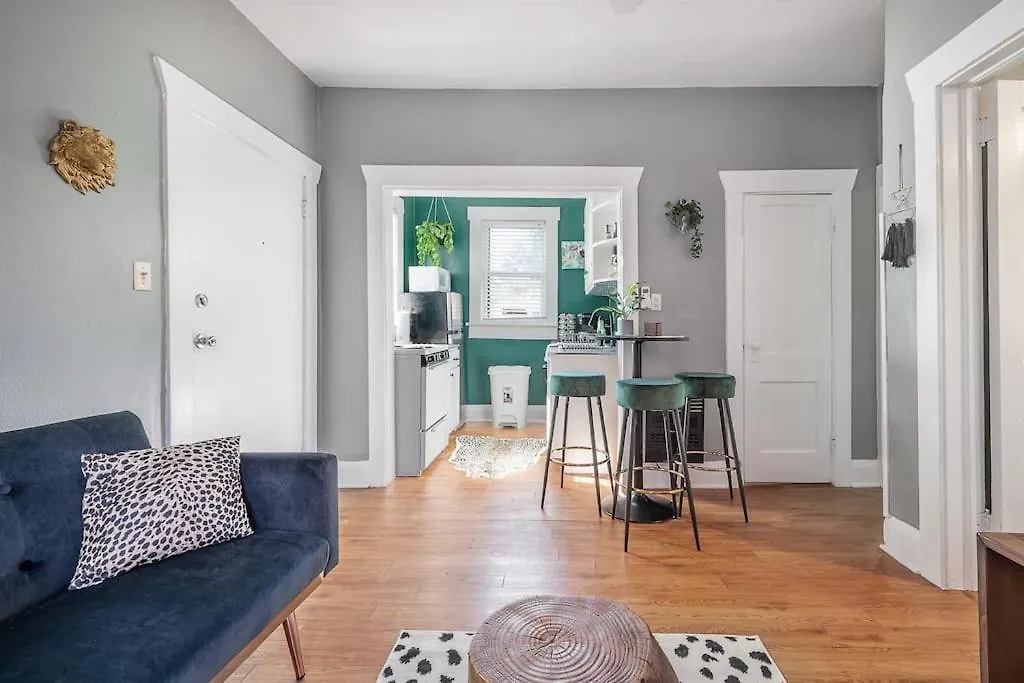Jungle Themed Apt. Close To Coffee, Food + Shops! Tampa Apartment