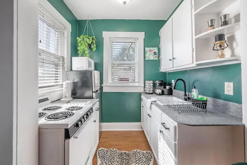 Jungle Themed Apt. Close To Coffee, Food + Shops! Tampa Apartment