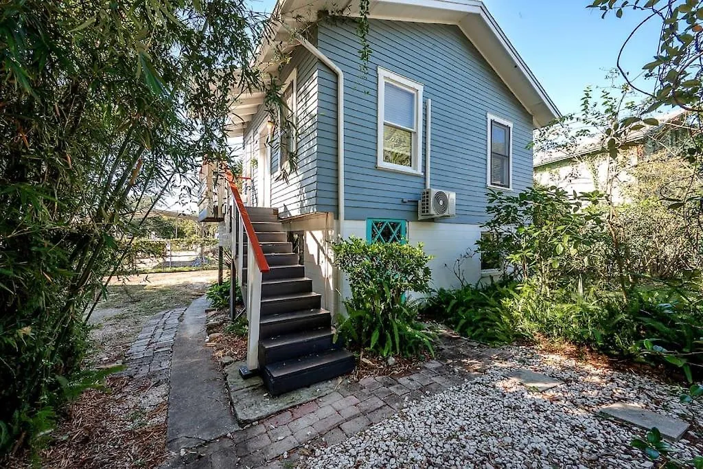 Apartment Jungle Themed Apt. Close To Coffee, Food + Shops! Tampa
