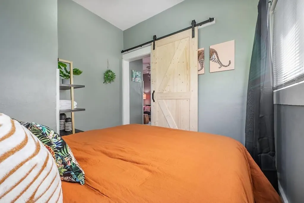 Apartment Jungle Themed Apt. Close To Coffee, Food + Shops! Tampa